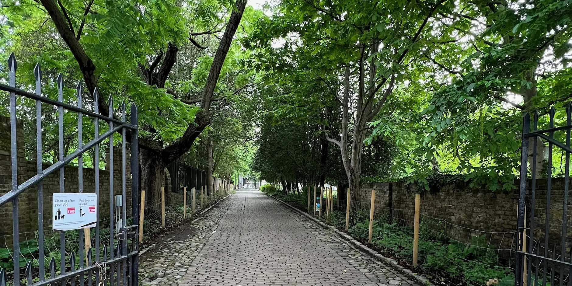 Islington Health and History walk: Rosemary Gardens N1