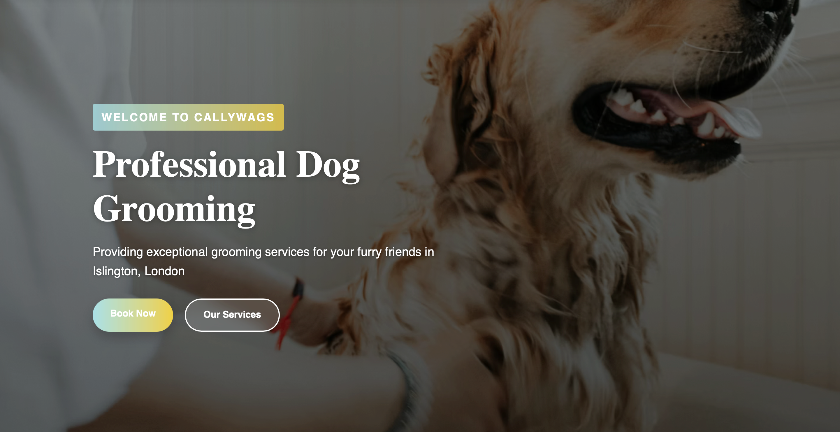 Callywags - Professional Dog Grooming