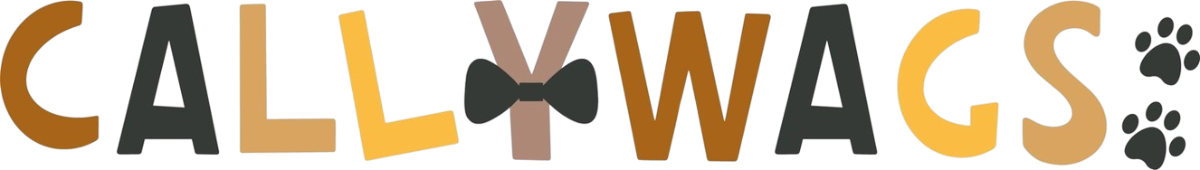 Callywags logo